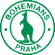 Team logo